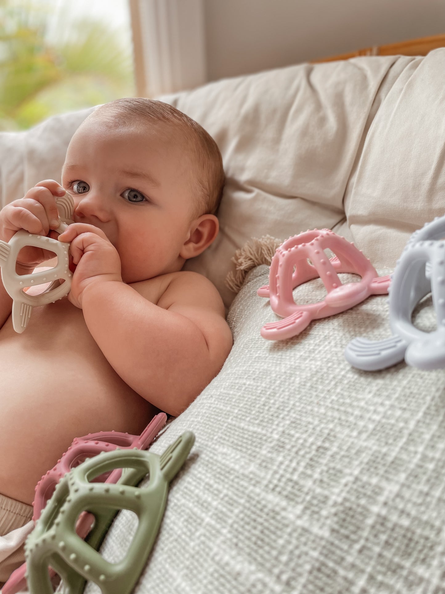 COASTAL TURTLE TEETHER