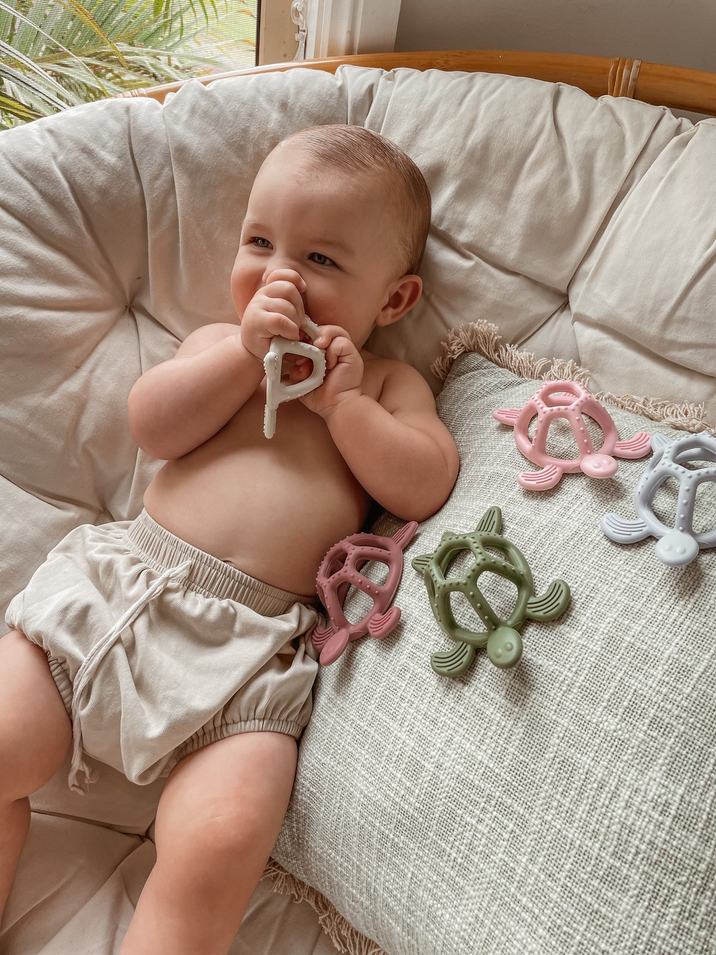 COASTAL TURTLE TEETHER