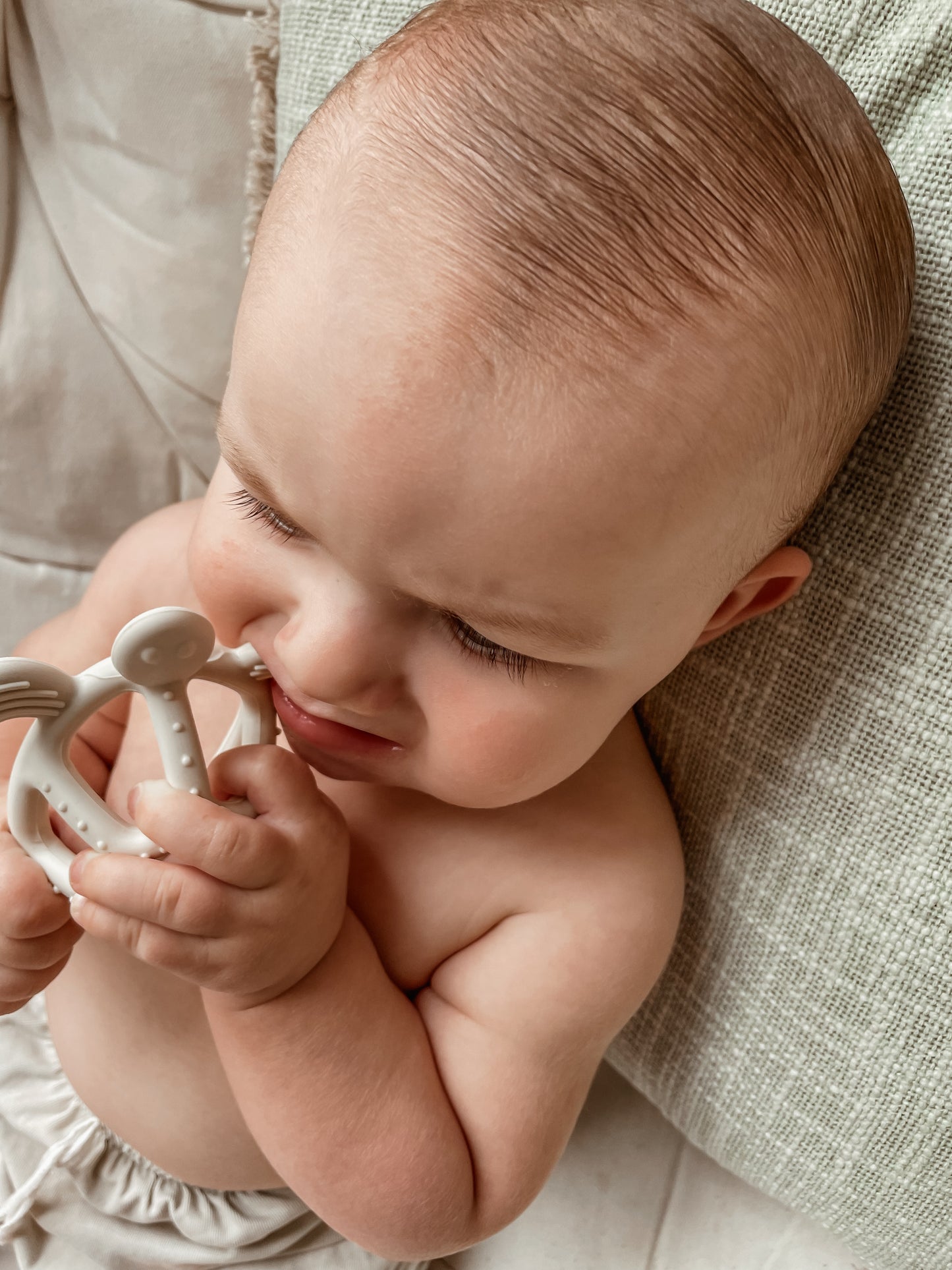 COASTAL TURTLE TEETHER