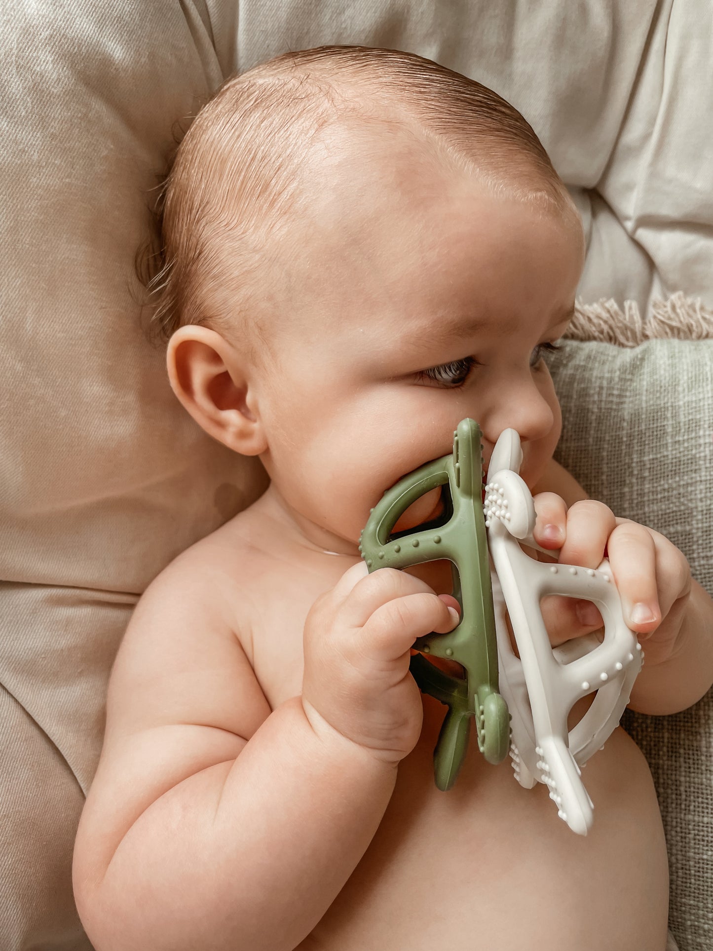 COASTAL TURTLE TEETHER