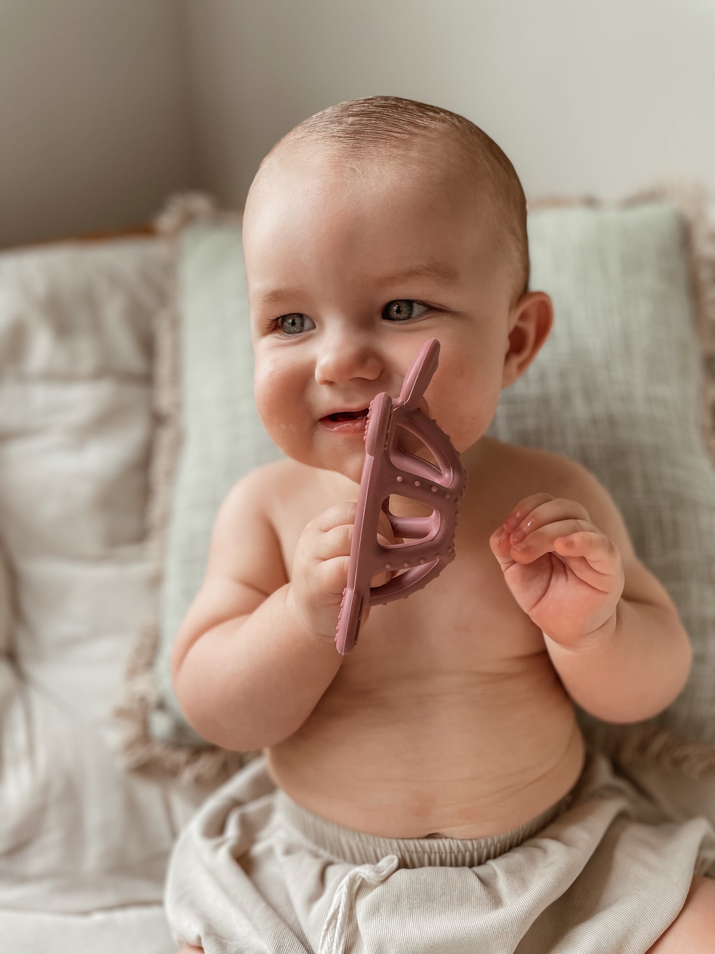 COASTAL TURTLE TEETHER