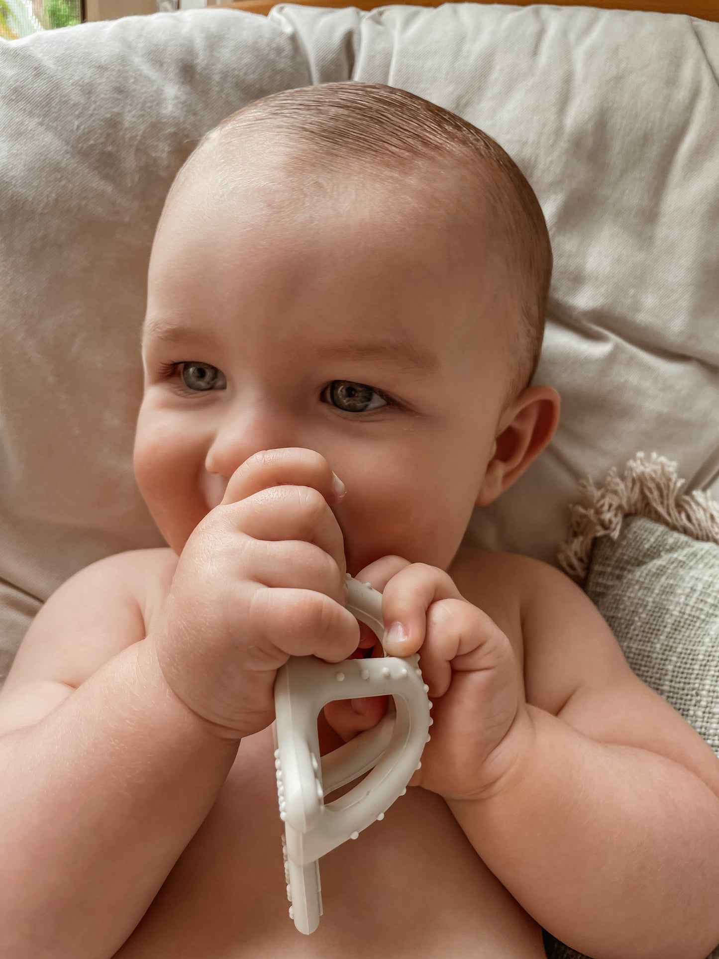 COASTAL TURTLE TEETHER