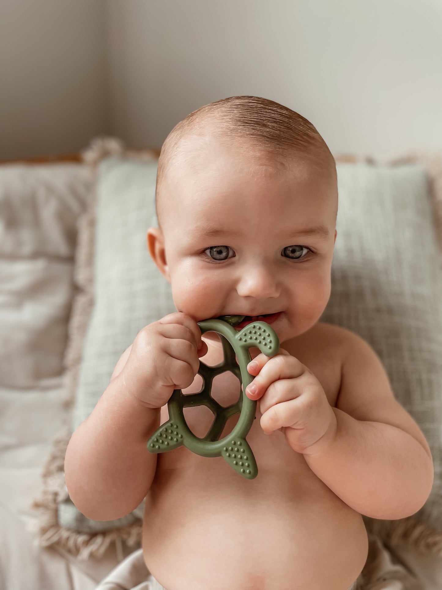 COASTAL TURTLE TEETHER